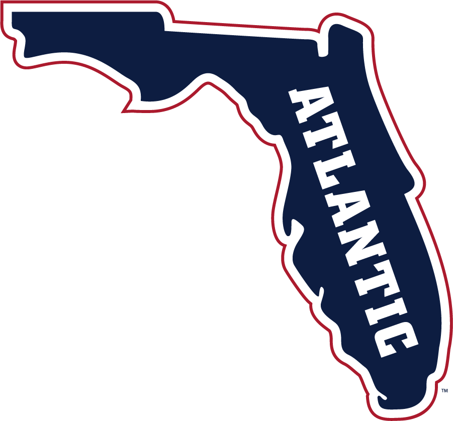 Florida Atlantic Owls 2015-Pres Secondary Logo iron on transfers for clothing